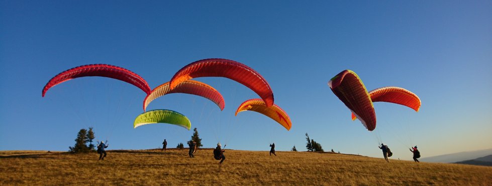 Mehrere Gleitschirme starten im Abendlicht von einer Bergwiese in den Vogesen