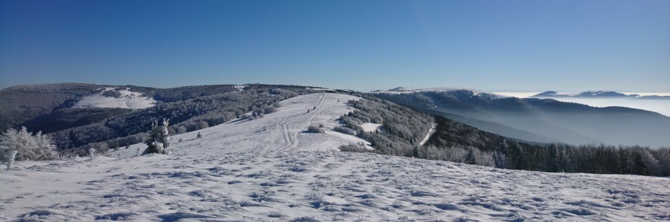 Verschneiter Vogesenkamm mit raureifbedeckten Bäumen, dahinter ein Nebelmeer über der Rheinebene unter klarem blauem Himmel