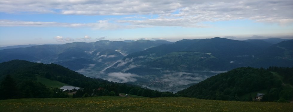 Blick von einer Blumenwiese über das Thurtal: Nebelschwaden zwischen bewaldeten Bergrücken, darüber ein bewölkter Himmel